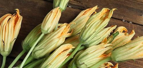 立夏前后，不吃肉也要多吃这朵花，10元钱一斤，清甜脆嫩，贵也值