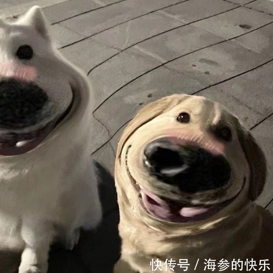 情侣头像|搞笑女的恋爱情头