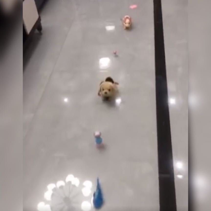 医生|萌娃扮演“医生”火了,连爸爸都挂不上号,网友专家要一视同仁