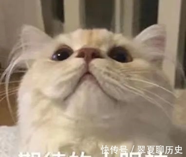 說唱聽我的|《說唱聽我的》第二季正式官宣定檔0718,全新“說唱雙子星”賽制來襲!