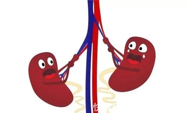 肾病|未来可期丨15例临床案例证实干细胞移植疗法对糖尿病肾病的潜力