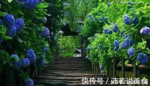 郁金香|7个绝美花园,个个美炸了天,等有钱了我也要建一个