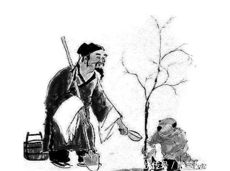 民间|民间俗语“五十不建房,六十不栽树,七十不裁衣”,有什么道理?