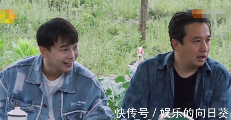 聊天|杨紫透露爱看《向往》，却喊错小H名字，跟黄磊彭彭聊天还露馅了！