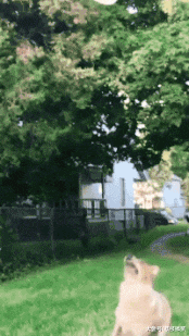 |搞笑GIF:今天周六 带女朋友去海边看看海