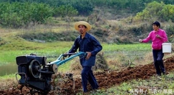 清明|农村俗语: “大寒脱衣裳, 清明雪打秧”是什么意思呢? 准不准确?