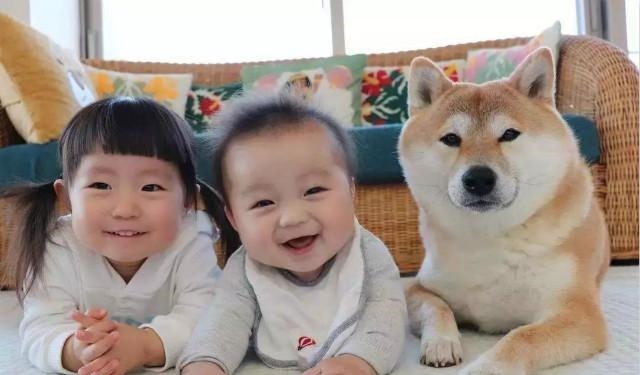 快乐教育|六岁前父母狠心立好三个规矩,娃长大后少走弯路,智力发育更出众