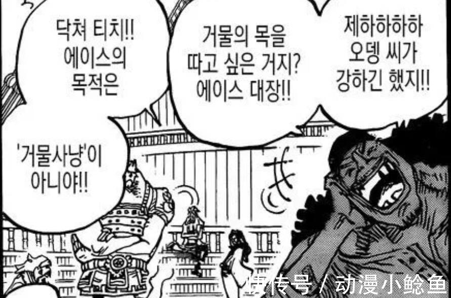 艾斯|黑胡子出场,赤鞘九侠全部“阵亡”,原来白胡子也害怕凯多