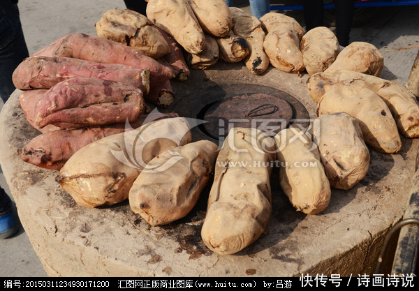 鲁南|怀念童年的地瓜