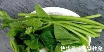 南瓜藤|聪明人都在吃3种食物，美容养生、延缓衰老，早吃早健康！