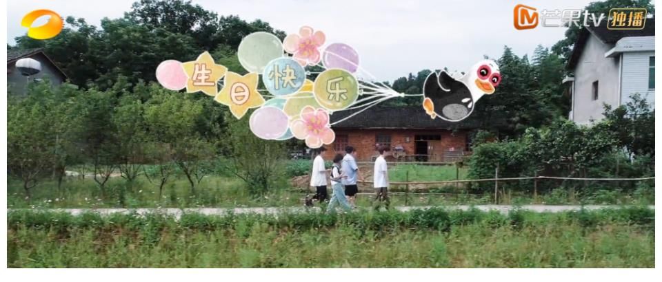 何炅|谭松韵意外“空降”《向往5》，何炅安排的出场方式也太有心了