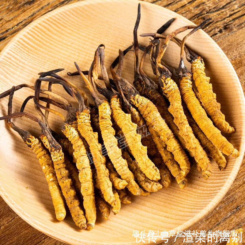 方法|曲草堂讲解,对老年人健康很实用的饮食方法