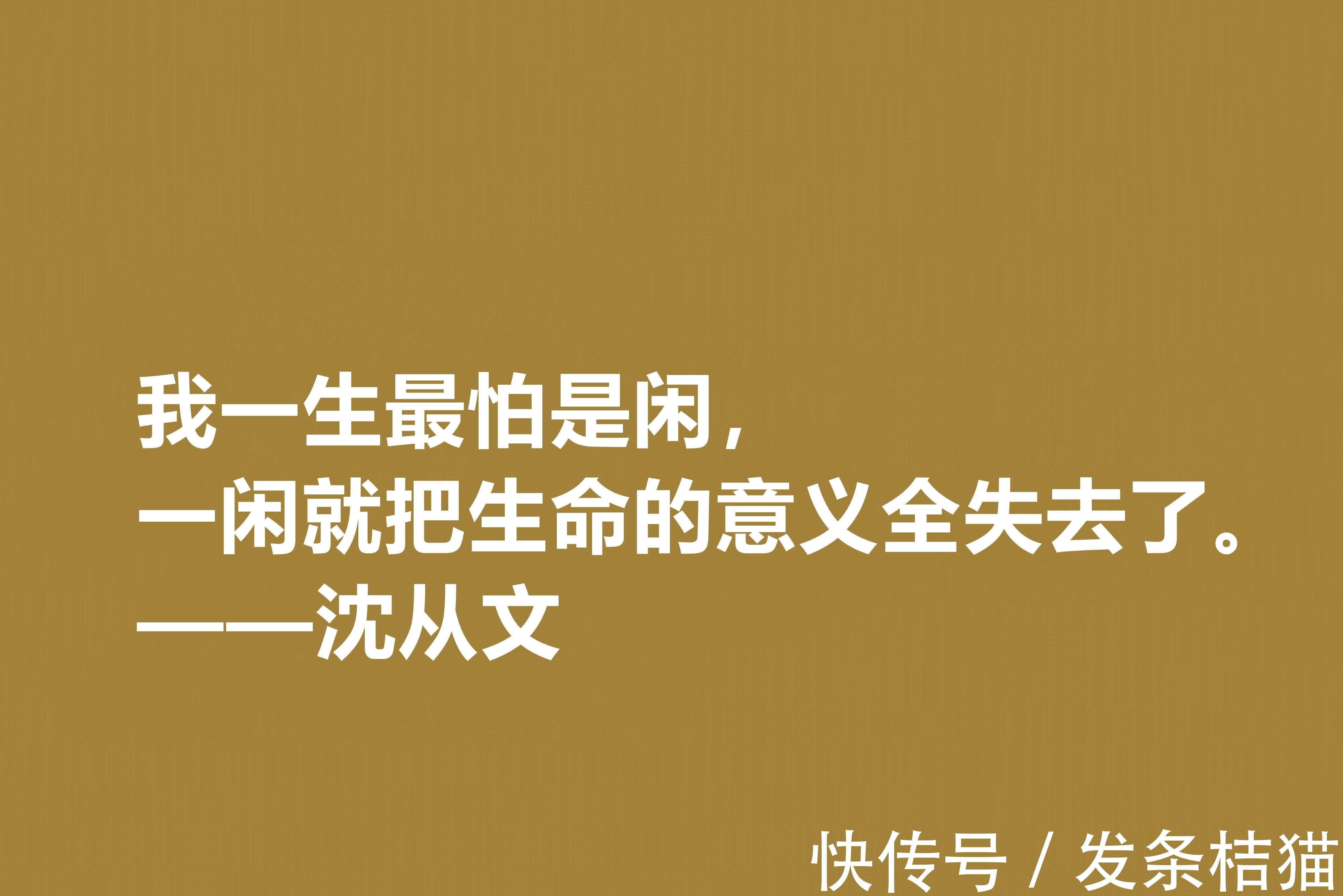 小说$深爱沈从文的小说，细品他十句格言，文化底蕴深厚，凸显其人生观