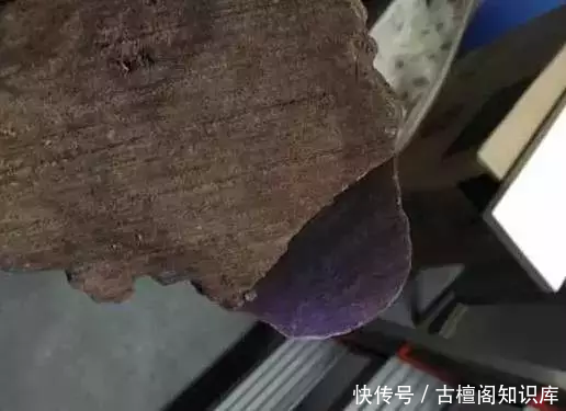 流油|丑得要死的木头,切开后竟然是紫的流油的紫油梨!