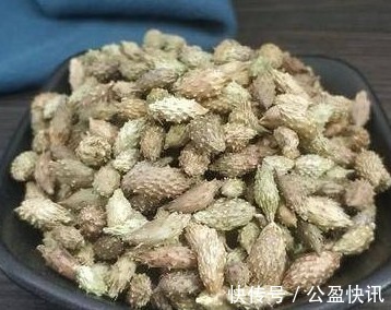 中毒|苍耳，随处可见的一种植物，你知道它的作用和禁忌吗