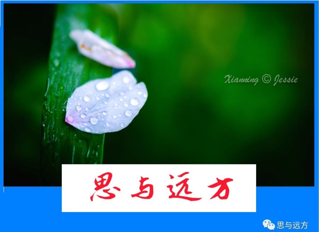 母亲|谢明:母亲的青葱岁月