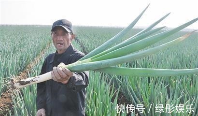 家里人|老中医提醒大葱要少吃，最好别吃！赶紧告诉家里人！