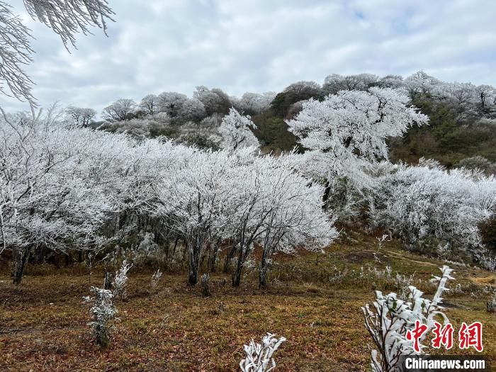 雪原|广西北部深山出现一片彩色雪原