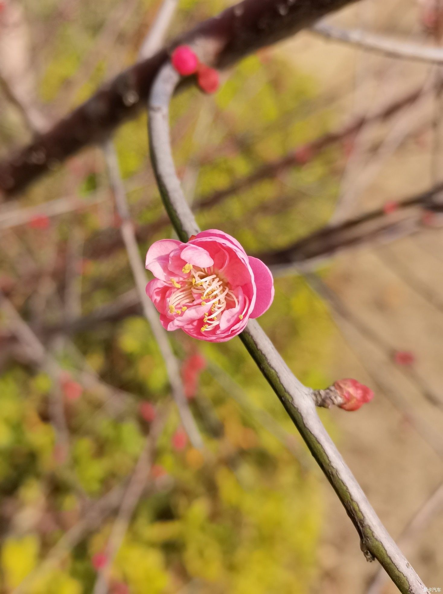 老年|醉美楠溪江～永嘉书院