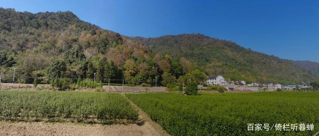 《七绝.初冬印象》霜染苍茫已入冬,枝条飞叶落无穷