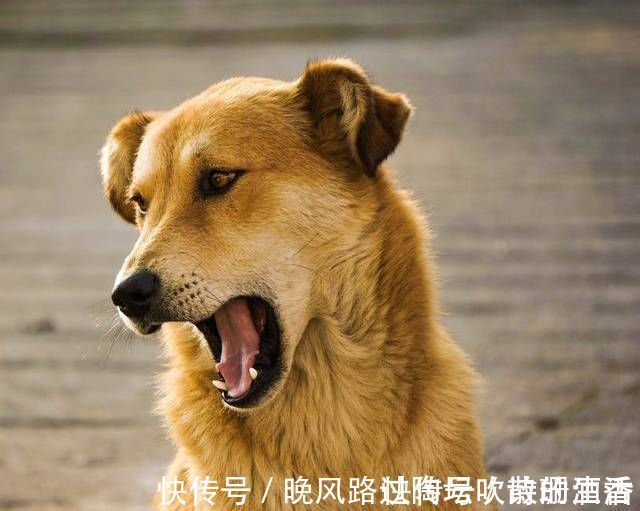 致命杀手|小小抽屉柜,导致孩子窒息死亡!你的忽视成为宝宝的致命杀手!