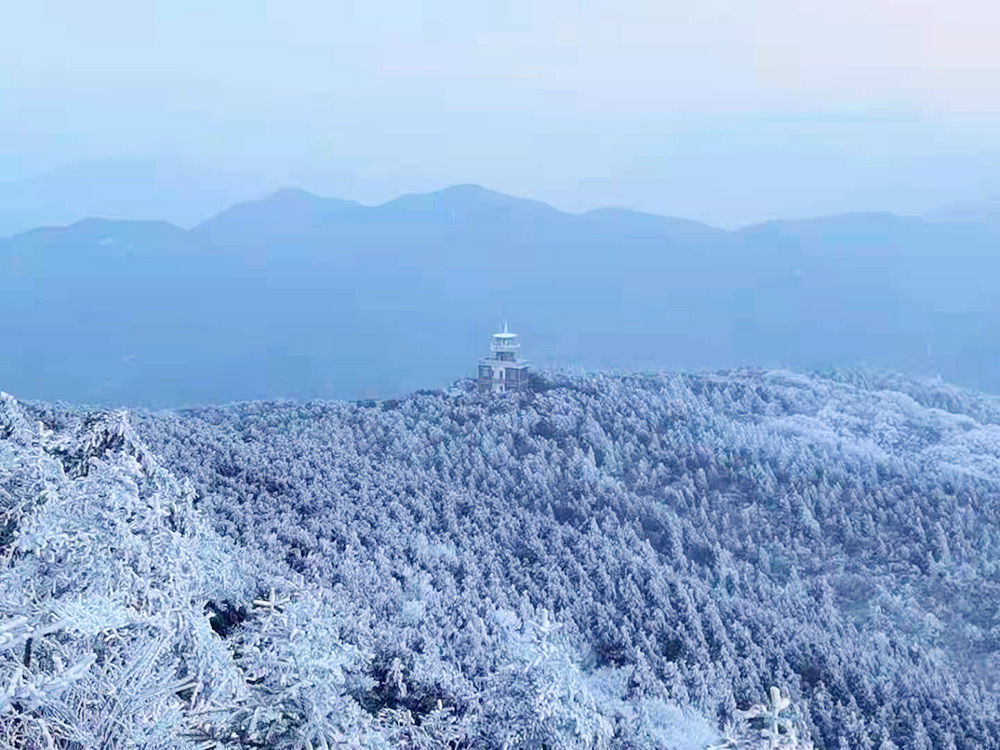 采风|庆元迎来2022年首场降雪！醉美雪景大片惊艳上线~