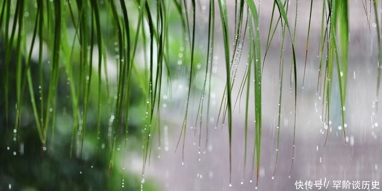 陆游|小楼一夜听春雨，这看似耳熟能详的一句诗，你知道它的下一句吗？