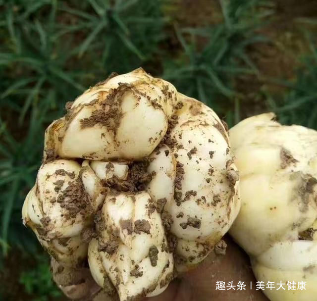 秋冬|女人怕老不要慌，秋冬多吃这些碱性食物，保养皮肤更有女人味