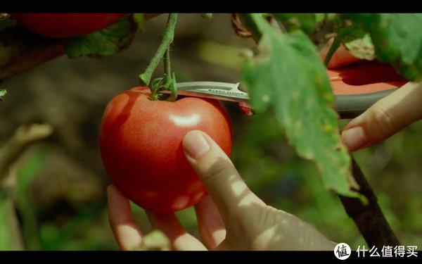 傳送門|超酷美食 篇十四：10部高分冷門美食電影，邊吃邊看，久看不膩，非常下飯，我不信你全看過！（附在線觀看地址）