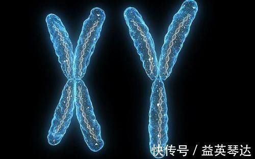 生男体质|有些女人总生男孩,难道是所谓的生男体质?不妨了解