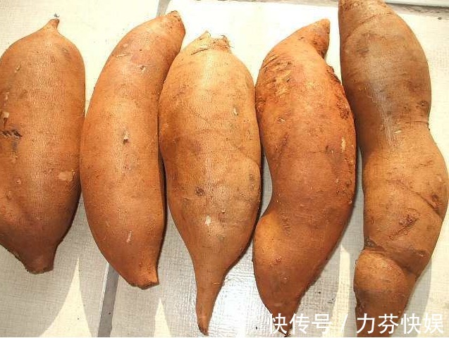 柚子|血糖高没关系,不用忌口放心吃以下3种食物,轻轻松松降血糖