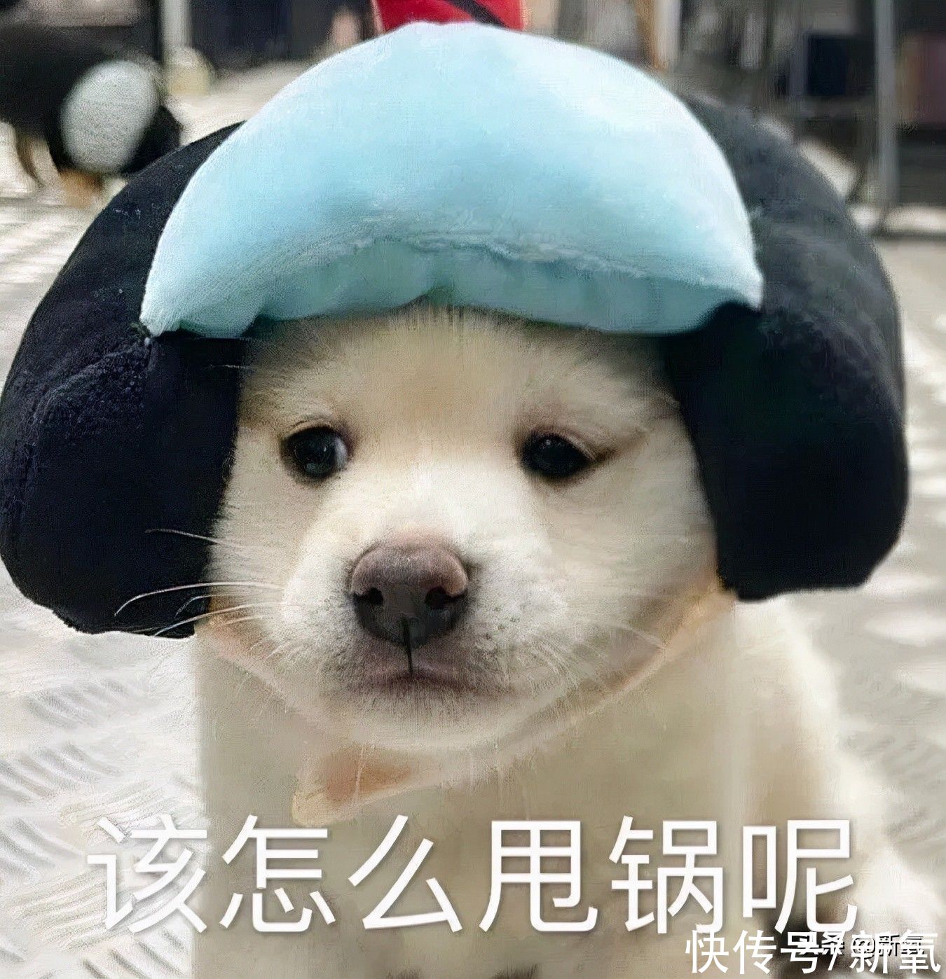 卡餐|薇娅李佳琦集体翻车!减肥餐有一个算一个全是智商税?