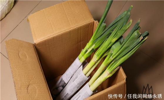 大葱|保存大葱时，放地上就错了，大厨教你一招，保存半年跟新鲜一样