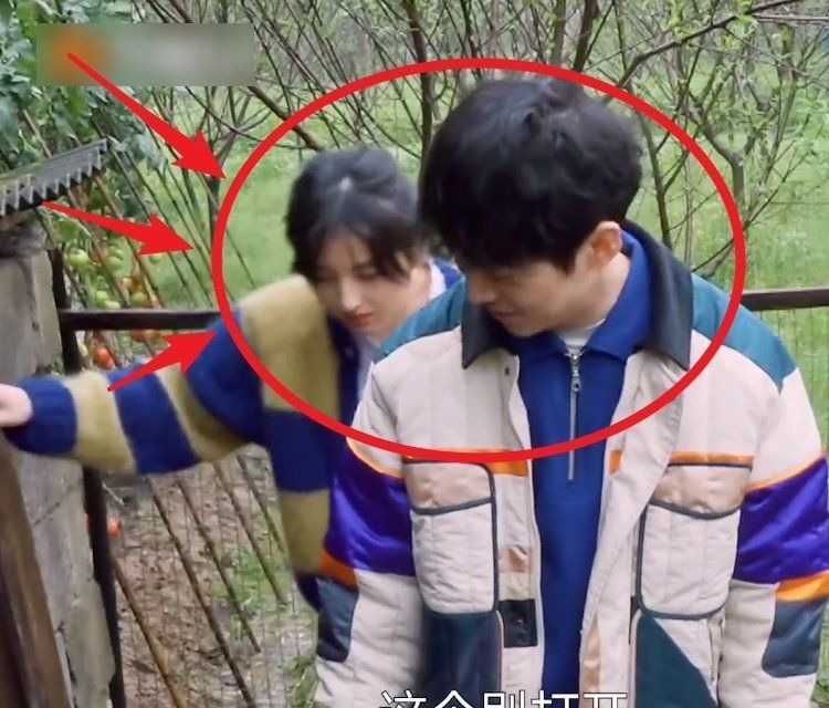 張藝興去雞窩掏雞蛋,看到張子楓的舉動,變開朗了還變調(diào)皮了