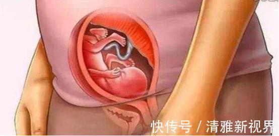 发育|宝宝是怎么被慢慢孕育出来的,十张过程图,一切来之不易