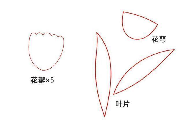  母亲节送给母亲的花朵，应让它从我们的手中盛开，康乃馨花朵教程