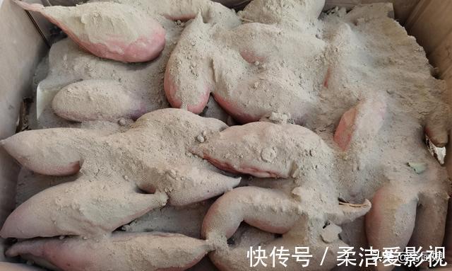 秀厨娘|保存红薯有妙招,教你个好办法,红薯越放越甜,放半年不烂不长芽