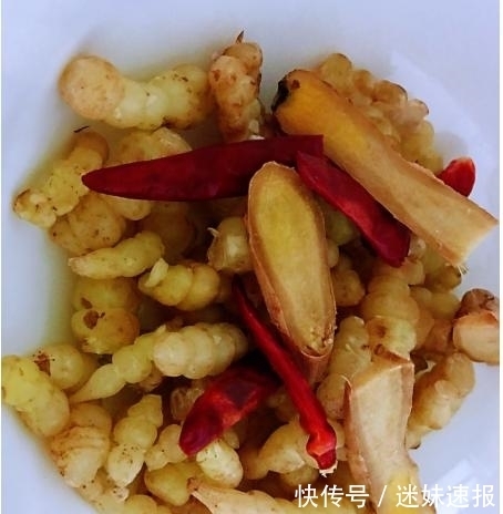 腌菜|山里一挖几十斤,曾是童年的零食,如今做成腌菜1斤40元,别错过