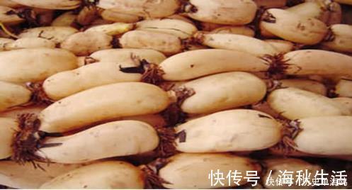 淀粉酶|秋冬养生八个“最佳”食物,你需要知道,赶紧做给家人补补吧