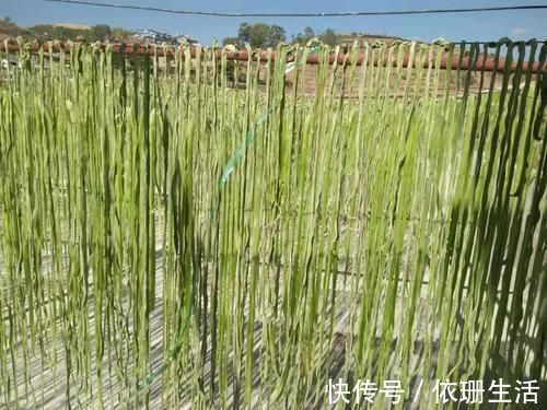 萝卜|这4种蔬菜晒干后，比新鲜的更好吃，生炒炖肉都行，放1年不会坏