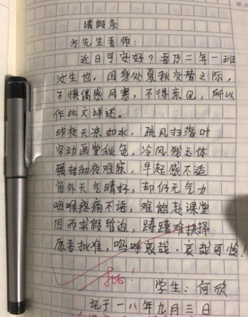 一组小学生“请假条”火了，老师看完哭笑不得：精彩，批准了！