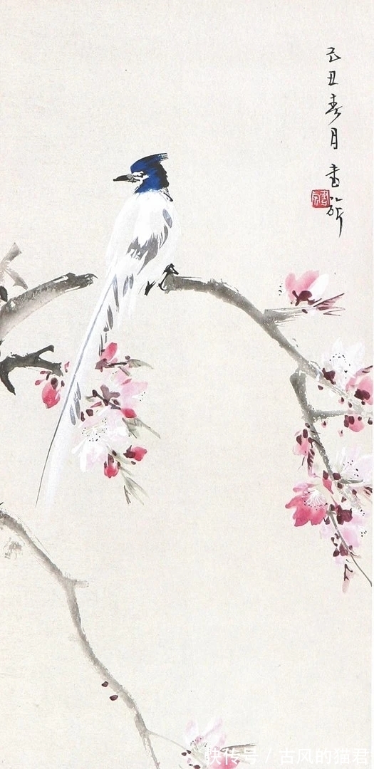 花鸟画!独特的魅力|张书旂花鸟画