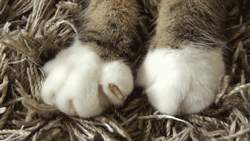 |搞笑动图:不好好走路,哥们你抽筋了么?