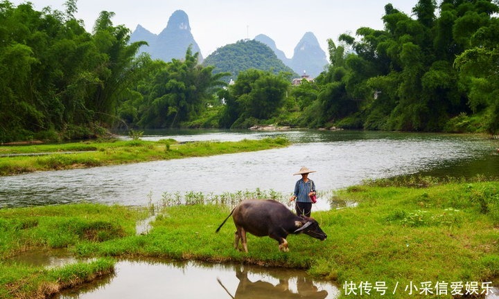 王维的一首五律,整篇诗文美如画卷,惊艳整个郊外的夏天
