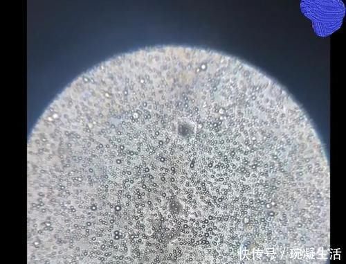 孩子|母乳到底有多“神奇”?一个实验为你揭晓答案,你可别小瞧了它