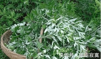 颈椎|颈椎病反复不好,一样小物就能解决,身边有颈椎病的可以保存了!