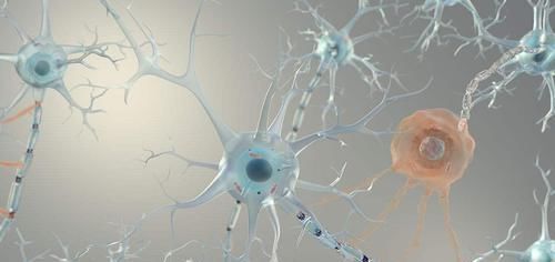 痴呆测试图只需几秒即可,用时久的要注意了