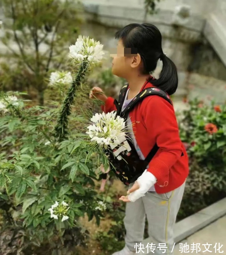 兰州大学|10岁女童患罕见疾病，“救命稻草”却无法使用：儿童肿瘤不适用