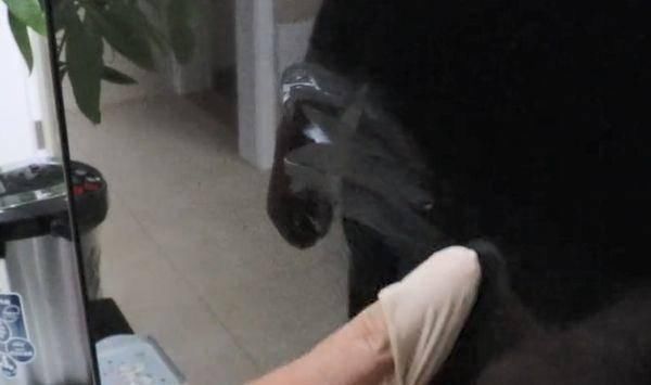 电视机屏幕|你还在用水擦电视屏幕吗只需倒点“它”擦一擦,立马洁净如新