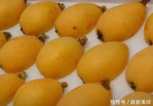 湿气|湿气重,平时多吃4种水果,促进消化,排出湿气,甩掉大肚腩